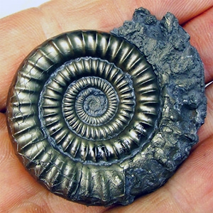 Магические свойства